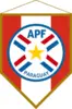Copa Paraguaya Femenina