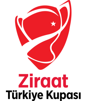 كأس تركيا