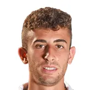دافيد زوغارو