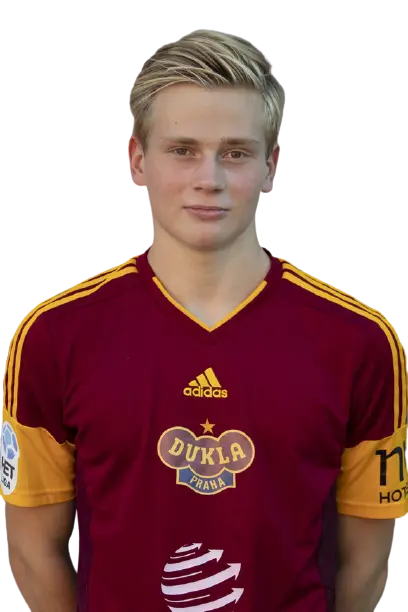 lukas brezina