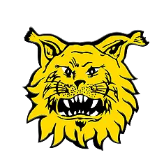 Ilves Juvenil