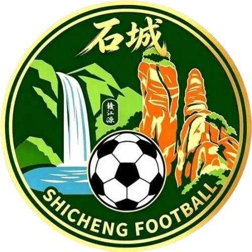 Shicheng Team
