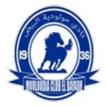 البياض البياض