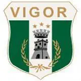 فيجور لاميزيا