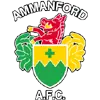 Ammanford Ammanford