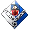 Slavicin Slavicin