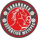 Deportivo Metepec Deportivo Metepec