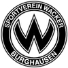 فاكر بورغهاوزن