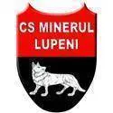 Minerul Lupeni Minerul Lupeni