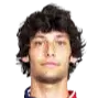 carlo faedo