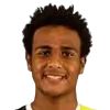 Mostafa Ali Rasoul